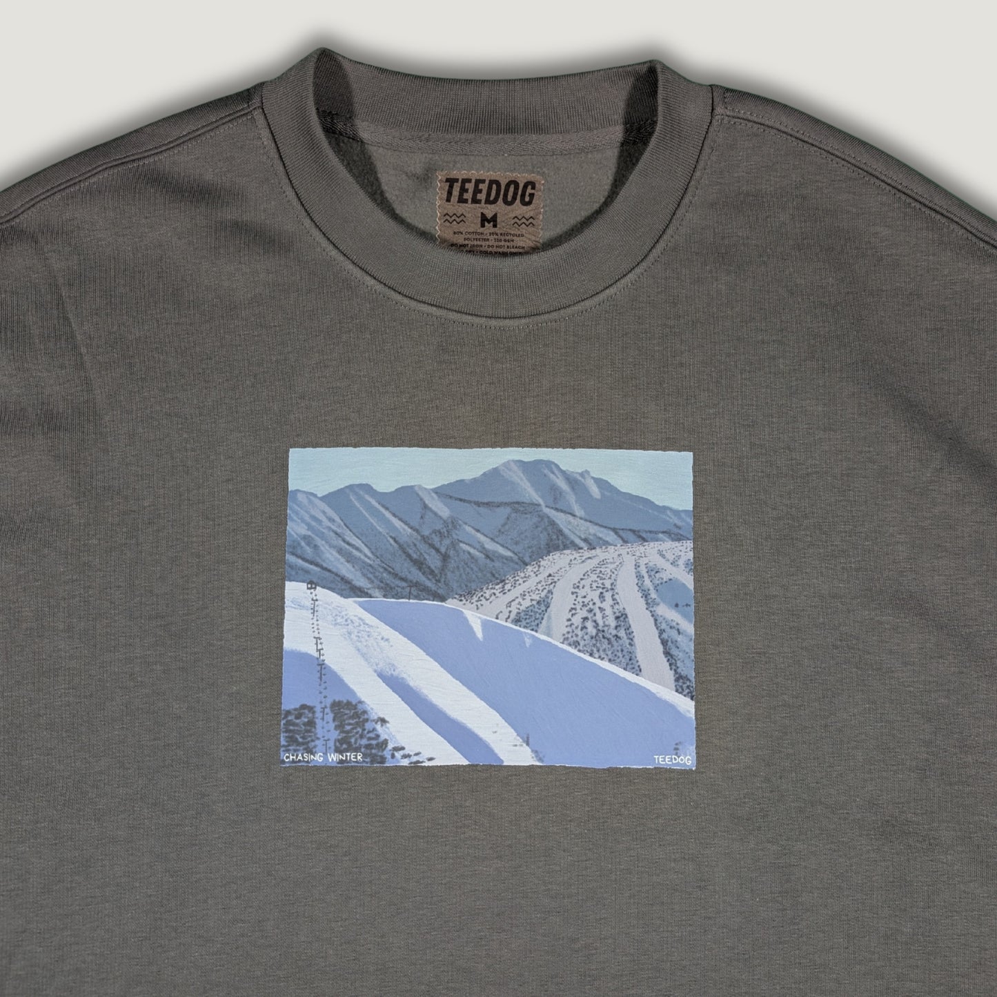 Chasing Winter Sweater
